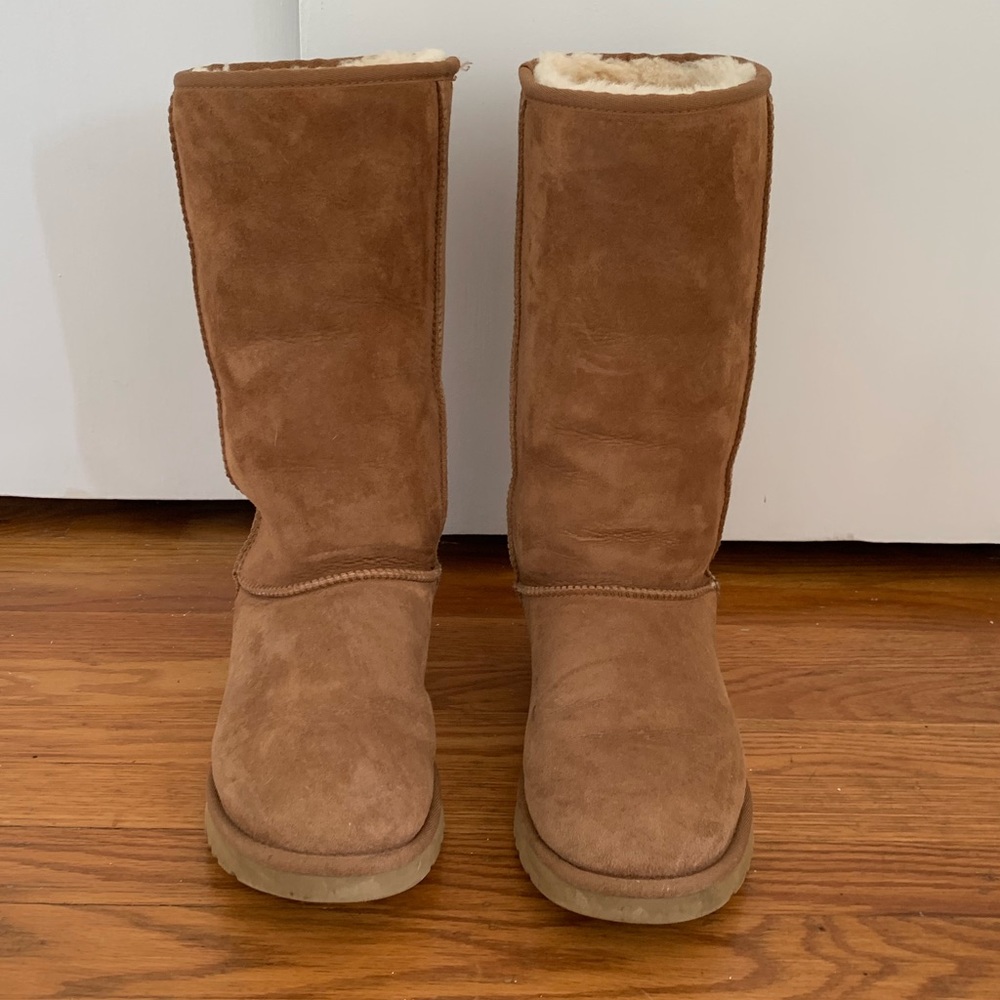 Tall Ugg boots w/ free cleaners